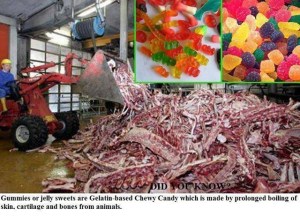 Not so yummy gummy bears