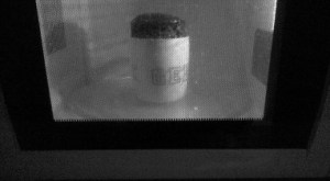 Welcome to Tofutopia