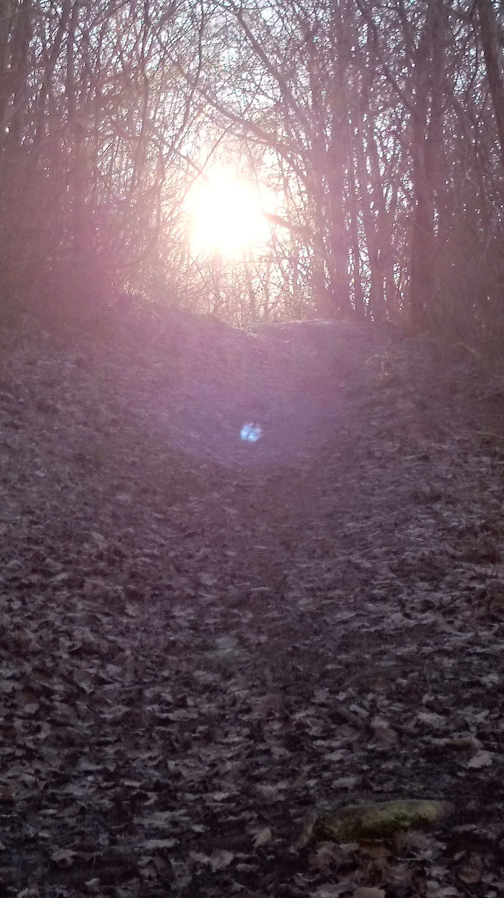 wpid-dsc_0354.jpg image