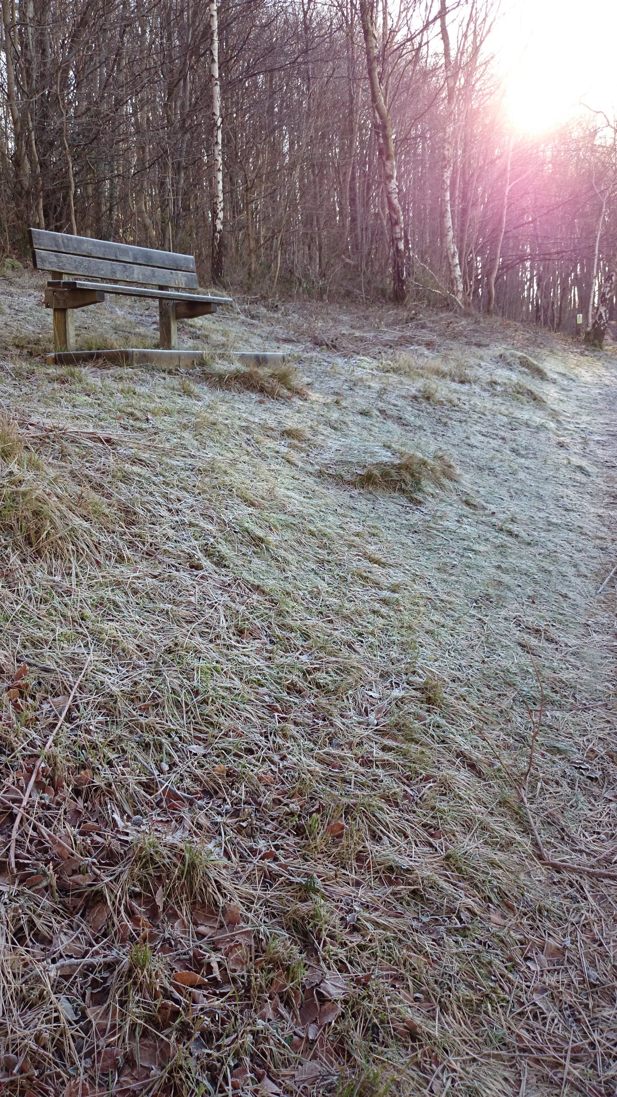 wpid-dsc_0355.jpg image