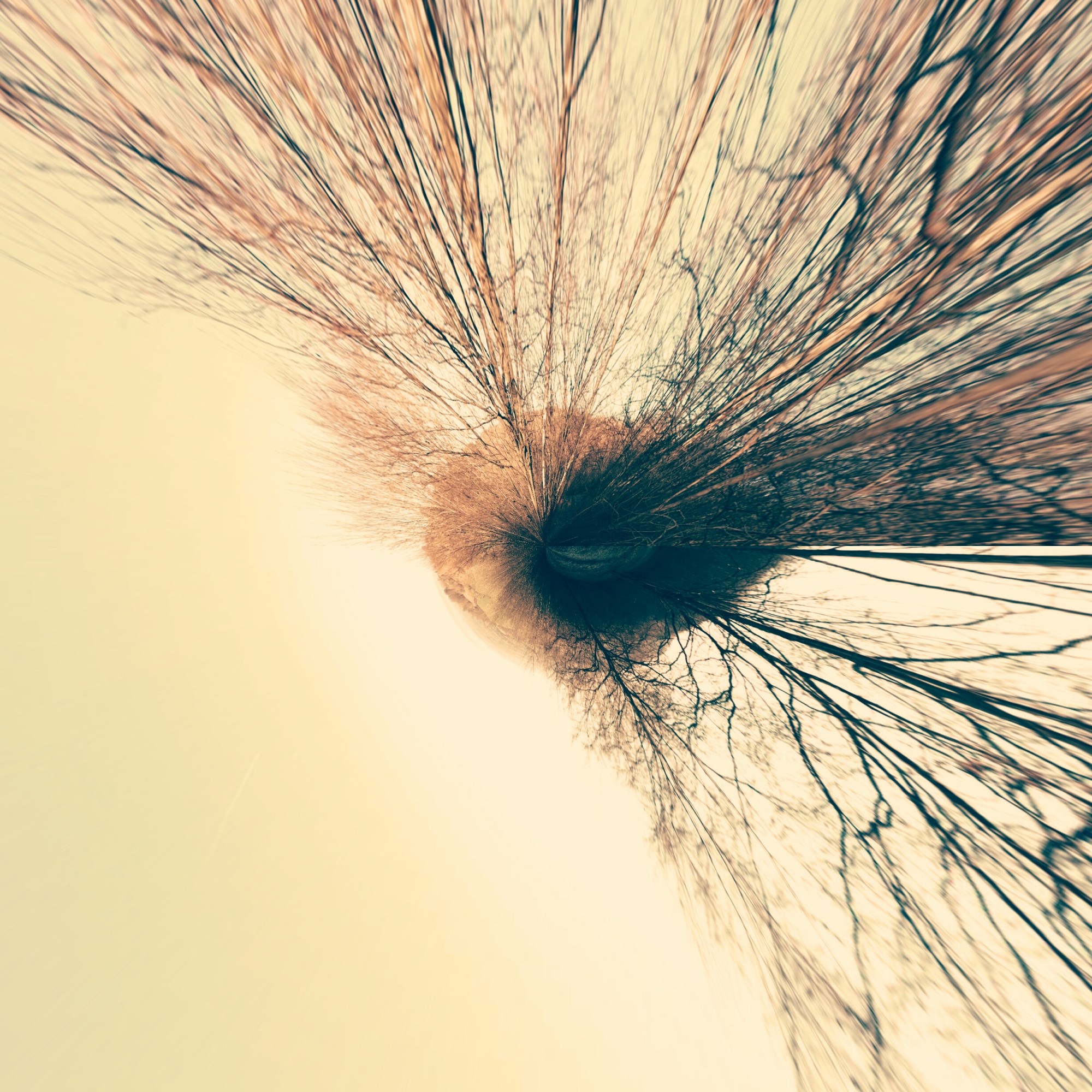 wpid-img_20141229_161110.jpg image